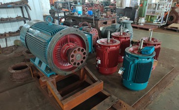 變頻調(diào)速電機