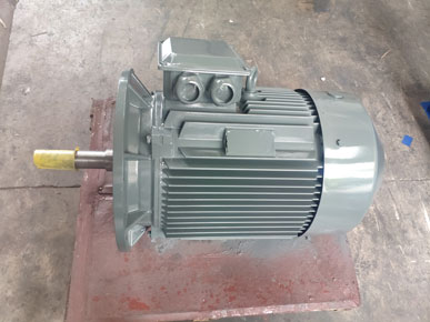 節(jié)能水泵電機